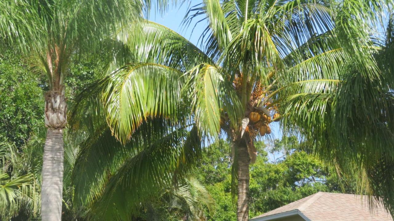 Luxury 3-Bedroom Home Near Beaches With Pool Vero Beach Extérieur photo